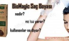Sonya Dolganova: Biyografi ve Yaratıcılık Sonya Dolganova: Biyografi ve Yaratıcılık